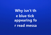 Why isn’t the blue tick appearing for read messages on WA web?-Wa Web