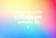What does the WA web API actually do?-Wa Web