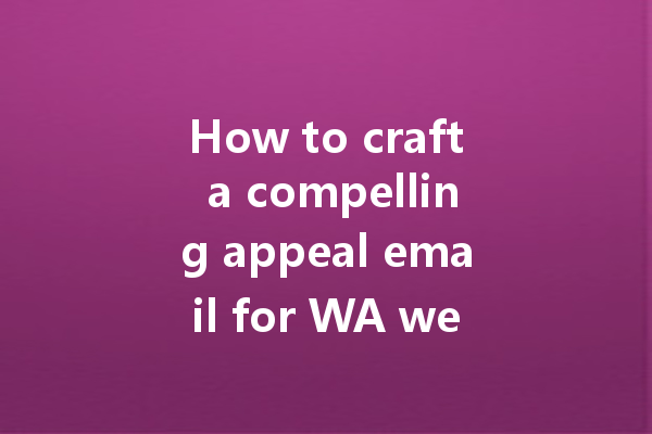 How to craft a compelling appeal email for WA web unblocking? 一