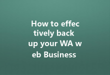 How to effectively back up your WA web Business data?-Wa Web