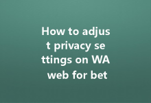 How to adjust privacy settings on WA web for better security?-Wa Web