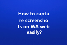 How to capture screenshots on WA web easily?-Wa Web