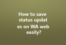 How to save status updates on WA web easily?-Wa Web