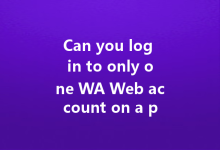 Can you log in to only one WA Web account on a phone?-Wa Web