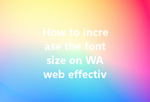 How to increase the font size on WA web effectively?-Wa Web