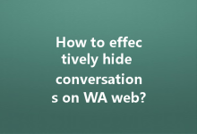 How to effectively hide conversations on WA web?-Wa Web