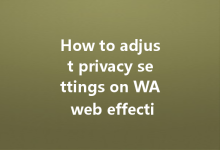 How to adjust privacy settings on WA web effectively?-Wa Web