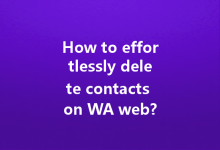 How to effortlessly delete contacts on WA web?-Wa Web