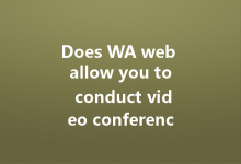 Does WA web allow you to conduct video conferences?-Wa Web