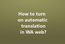 How to turn on automatic translation in WA web?-Wa Web