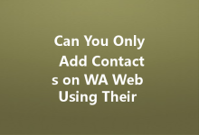 Can You Only Add Contacts on WA Web Using Their Phone Number?-Wa Web
