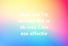 How can I translate WA web into Chinese effectively?-Wa Web