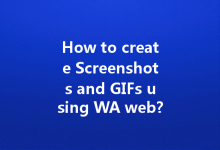 How to create Screenshots and GIFs using WA web?-Wa Web
