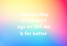 How to effectively use tags on WA web for better organization?-Wa Web