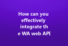 How can you effectively integrate the WA web API?-Wa Web