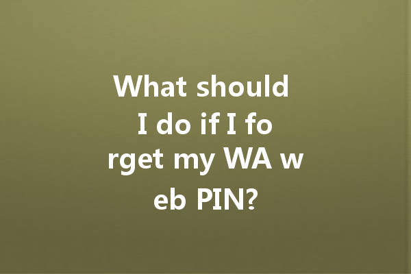 What should I do if I forget my WA web PIN? 一