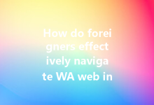 How do foreigners effectively navigate WA web in China?-Wa Web
