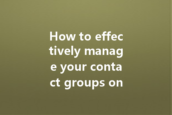 How to effectively manage your contact groups on WA web? 一