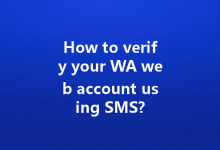 How to verify your WA web account using SMS?-Wa Web