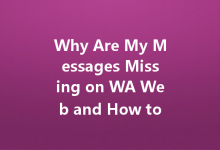 Why Are My Messages Missing on WA Web and How to Fix It?-Wa Web