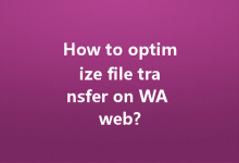 How to optimize file transfer on WA web?-Wa Web