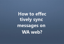 How to effectively sync messages on WA web?-Wa Web