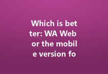 Which is better: WA Web or the mobile version for chatting?-Wa Web