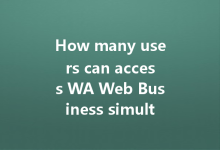 How many users can access WA Web Business simultaneously?-Wa Web