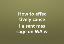 How to effectively cancel a sent message on WA web?-Wa Web