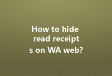 How to hide read receipts on WA web?-Wa Web