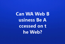 Can WA Web Business Be Accessed on the Web?-Wa Web