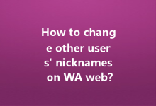 How to change other users' nicknames on WA web?-Wa Web