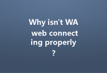 Why isn't WA web connecting properly?-Wa Web