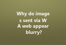 Why do images sent via WA web appear blurry?-Wa Web