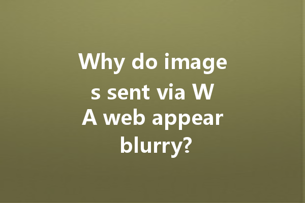 Why do images sent via WA web appear blurry? 4 Why do images sent via WA web appear blurry? 一