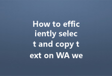 How to efficiently select and copy text on WA web?-Wa Web