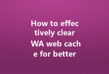 How to effectively clear WA web cache for better performance?-Wa Web