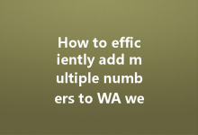 How to efficiently add multiple numbers to WA web?-Wa Web