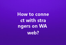 How to connect with strangers on WA web?-Wa Web