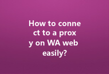 How to connect to a proxy on WA web easily?-Wa Web