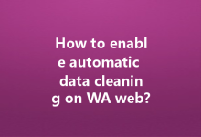 How to enable automatic data cleaning on WA web?-Wa Web