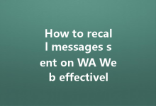 How to recall messages sent on WA Web effectively?-Wa Web