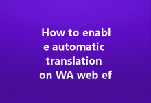How to enable automatic translation on WA web effortlessly?-Wa Web