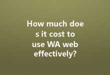 How much does it cost to use WA web effectively?-Wa Web