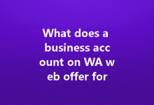 What does a business account on WA web offer for users?-Wa Web