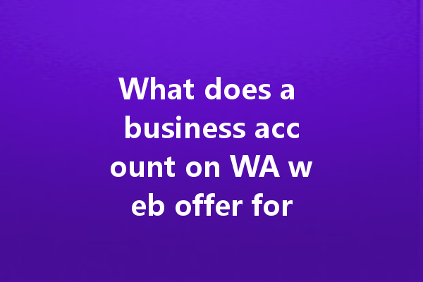 What does a business account on WA web offer for users? 一