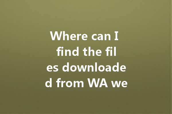 Where can I find the files downloaded from WA web? 一