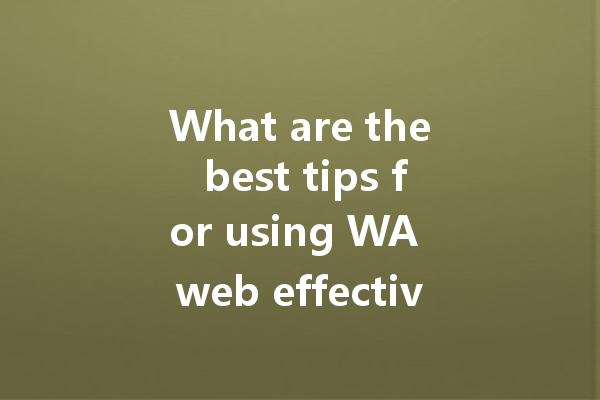 What are the best tips for using WA web effectively? 一
