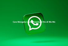 Cara Mengatur Auto Download File di Wa Web-Wa Web