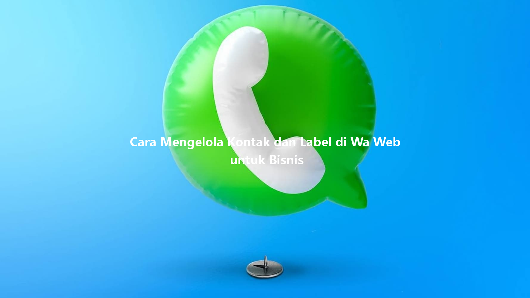 Cara Mengelola Kontak dan Label di Wa Web untuk Bisnis 一
